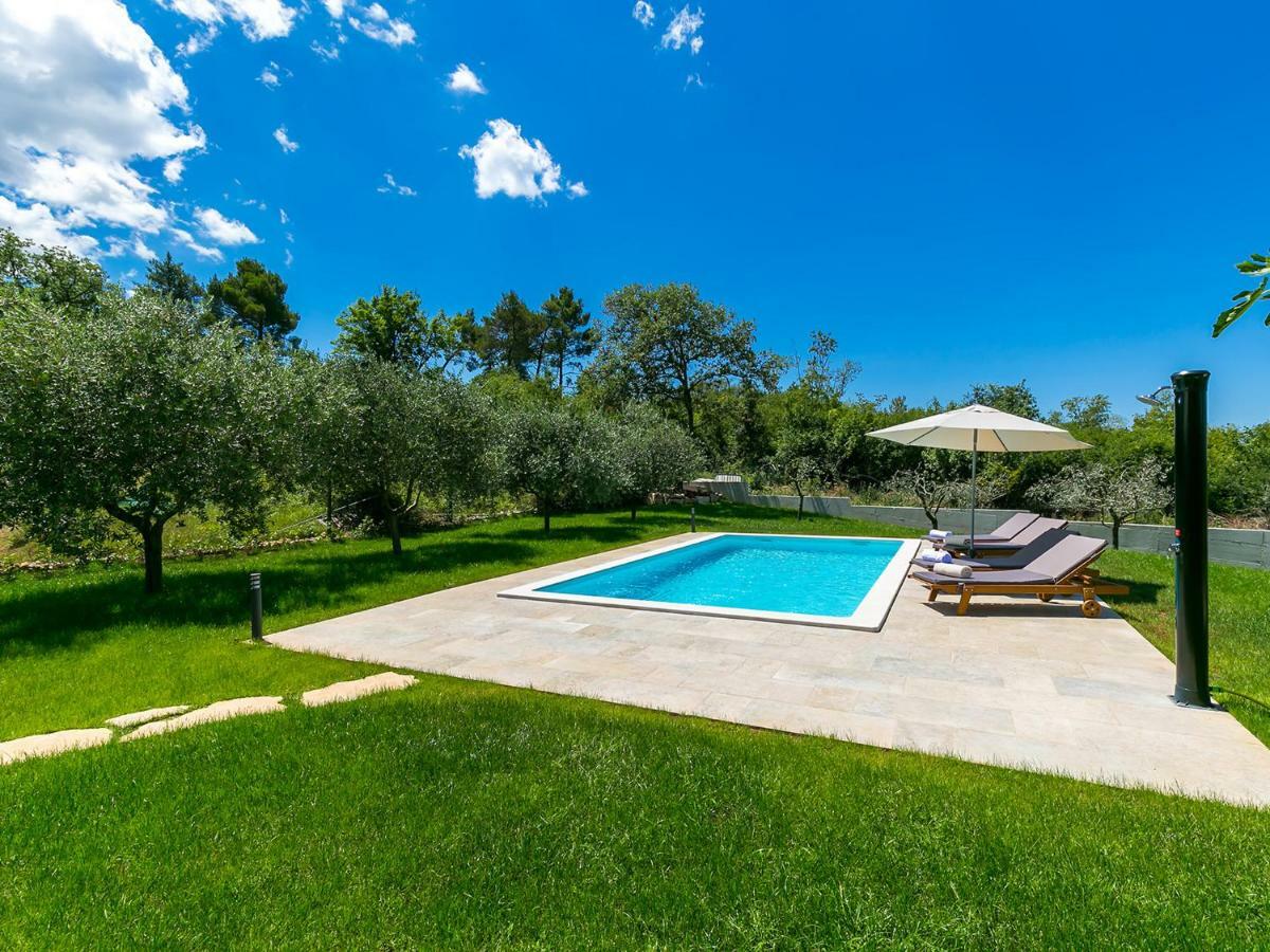 Pool Premium Apartment Vrsar Bagian luar foto